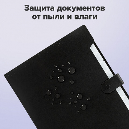Папка-органайзер на кнопке 12 отделений, BRAUBERG "Extra", А4, черная с белым, 271930