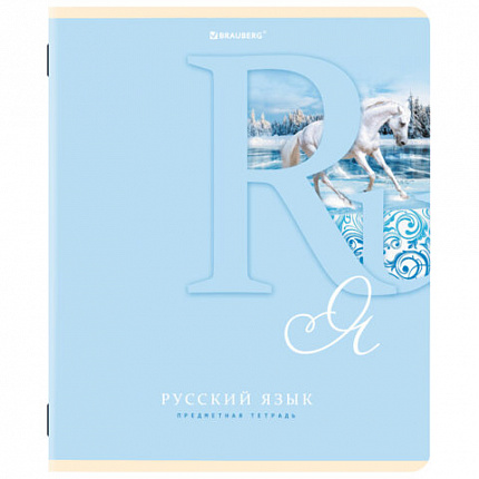 Тетради предметные, КОМПЛЕКТ 12 ПРЕДМЕТОВ, 48 листов, обложка картон, BRAUBERG, "ПАСТЕЛЬНАЯ", 404026