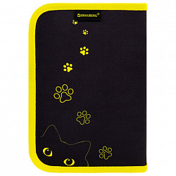 Пенал BRAUBERG с наполнением, 1 отделение, 1 откидная планка, 24 предмета, 21х14 см, "Dark cat", 272351