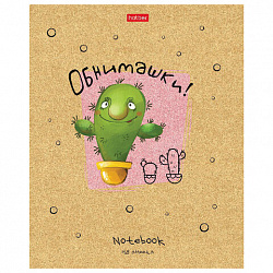 Тетрадь А5 48 л. HATBER скоба, клетка, матовая ламинация, "Мой друг Кактус" (микс в спайке), 074454, 48Т5лВ1