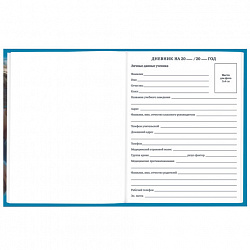 Дневник 1-11 класс 40 л., твердый, BRAUBERG, глянцевая ламинация, "Девушка с драконом", 107167