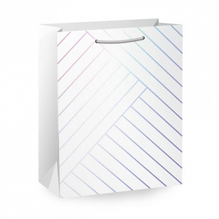 Пакет подарочный (1 штука) 18х10х23см (M) "Leather Bag", ассорти, с тиснением, ЗОЛОТАЯ СКАЗКА, 700811