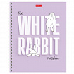 Тетрадь А5, 48 л., HATBER гребень, клетка, обложка картон, "Следуй за белым кроликом" (микс), 087016, 48Т5В1гр