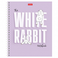 Тетрадь А5, 48 л., HATBER гребень, клетка, обложка картон, "Следуй за белым кроликом" (микс), 087016, 48Т5В1гр