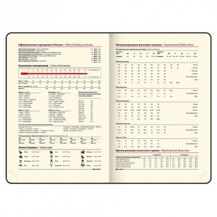 Ежедневник недатированный БОЛЬШОЙ ФОРМАТ 210х297 мм А4, BRAUBERG "Status", 160л, черный, 113360
