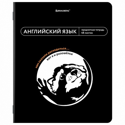 Тетради предметные, КОМПЛЕКТ 12 ПРЕДМЕТОВ, 48 л., TWIN лак, BRAUBERG "МЕМЫ", 405172