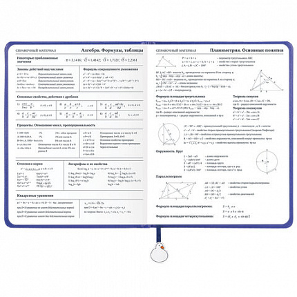 Дневник 1-11 класс 48 л., кожзам (твердая с поролоном), печать, ляссе с аппликацией, BRAUBERG, "Гуси", 107233