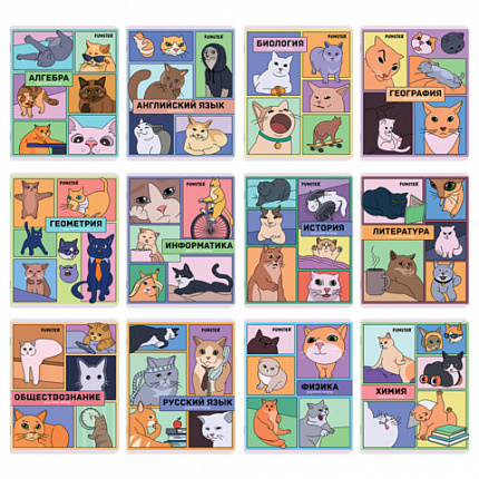 Тетради предметные, КОМПЛЕКТ 12 ПРЕДМЕТОВ, 48л, TWIN лак, FUNSTER, МЕМНЫЕ КОТЫ, 405604