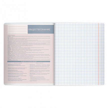 Тетрадь предметная MonoPastel 48л, пластиковая обложка, ОБЩЕСТВОЗНАНИЕ, клетка, подсказ, BRAUBERG, 405502