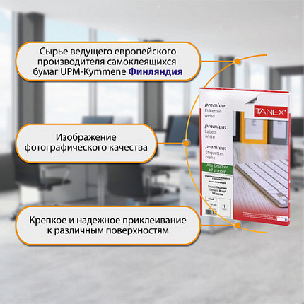Этикетка самоклеящаяся ГЛЯНЦЕВАЯ 210х297 мм, 1 этикетка, белая, 80 г/м2, 100 листов, TANEX, сырье Финляндия, 114547, TW-2000