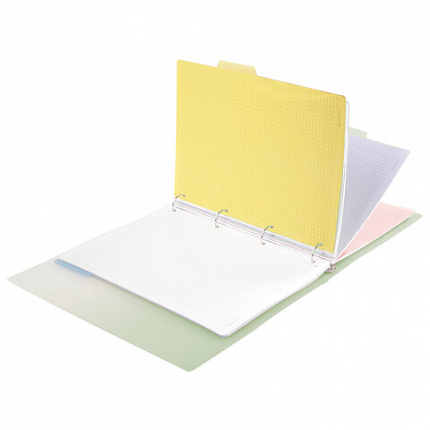 Тетрадь на кольцах БОЛЬШАЯ 305х230мм А4, 120л, пластик, с разделителями, BRAUBERG, Зеленый, 404625