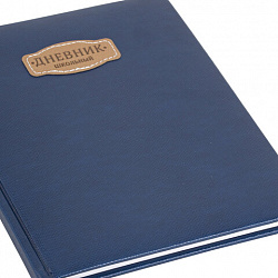 Дневник 1-11 класс 48 л., кожзам (твердая с поролоном), нашивка, BRAUBERG IGUANA, синий, 107226