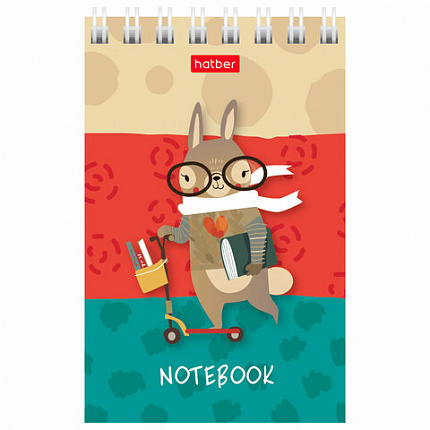 Блокнот МАЛЫЙ ФОРМАТ А7 65х100 мм, 40 л., гребень, картон, клетка, дисплей, HATBER, Ассорти, 031285, 40Б7B1гр