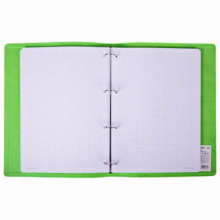 Тетрадь на кольцах БОЛЬШАЯ А4 (240х310 мм), 120 листов, под кожу, клетка, BRAUBERG "Joy", зелёный/светло-зелёный, 404508