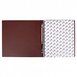 Альбом нумизмата для 380 монет (диаметр до 38 мм) и купюр, 253х238 мм, коричневый, ОСТРОВ СОКРОВИЩ, 237961