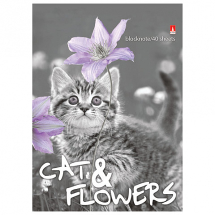 Блокнот А6, 40 л., гребень, ламинированный картон, клетка, Альт, "Котята", (5 видов), 3-40-028