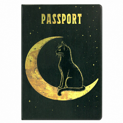 Обложка для паспорта "Cool Mix 2", 10 дизайнов ассорти, цветной принт, ПВХ, STAFF, 238859