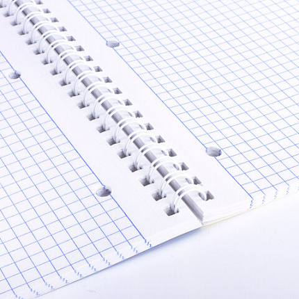 Тетрадь А4, 96 л., BRAUBERG, гребень, клетка, обложка картон, КРАСИВЫЕ ЦВЕТЫ, 403072