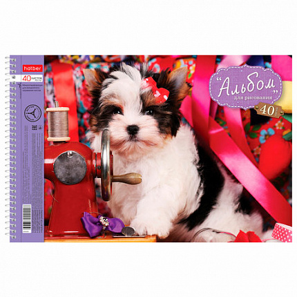 Альбом для рисования, А4, 40 листов, спираль, обложка картон, HATBER, 205х300 мм, "Любимцы" (5 видов), 004142, 40А4Всп