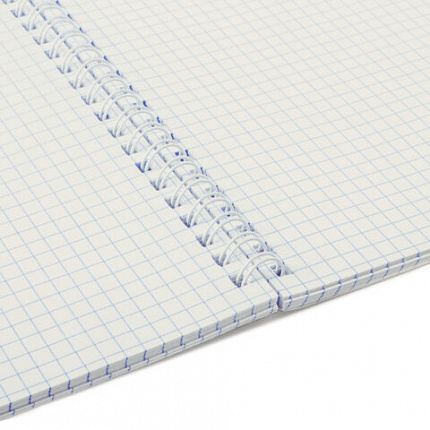 Тетрадь А4 96 л. STAFF College гребень, клетка, офсет №2 ЭКОНОМ, обложка картон, ПРИРОДА, 405619