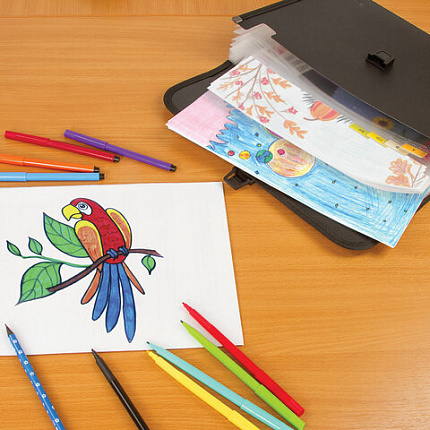 Папка для бумаг и документов с замком и 13 отделениями BRAUBERG "HIT", А4, пластик, черная, 229572