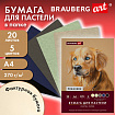 Бумага для пастели ФАКТУРНАЯ, А4, в папке, 20 листов, 5 цветов, 270 г/м2, BRAUBERG ART, 117755