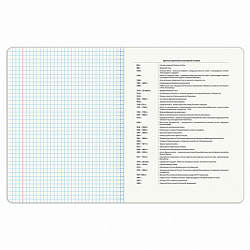 Тетрадь предметная DOG БОБИК 48 л., TWIN-лак, ИСТОРИЯ, клетка, подсказ, BRAUBERG, 404789