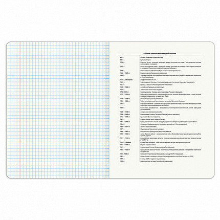 Тетрадь предметная DOG БОБИК 48 л., TWIN-лак, ИСТОРИЯ, клетка, подсказ, BRAUBERG, 404789