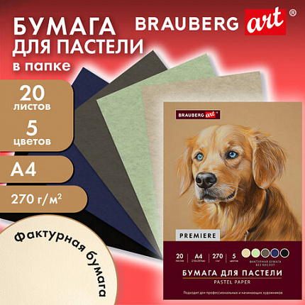 Бумага для пастели ФАКТУРНАЯ А4 в папке, 20 листов 5 цветов, 270 г/м2, BRAUBERG ART,, 117755