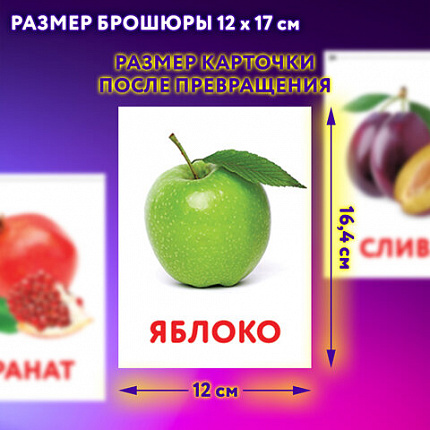 Карточки Домана, 8 развивающих брошюр по методике ГЛЕННА ДОМАНА, 145 изображений, ЮНЛАНДИЯ, 691022