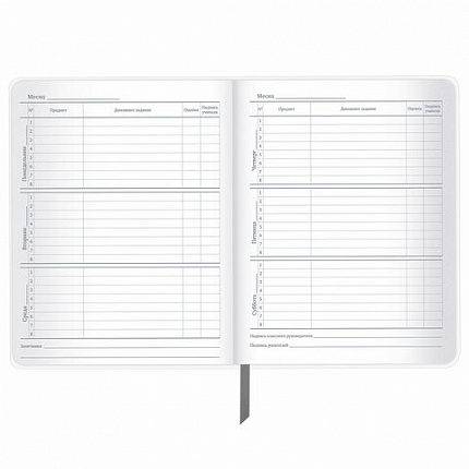 Дневник 1-11 класс 48 л., кожзам (твердая с поролоном), тиснение, аппликация, BRAUBERG, "Extreme", 106569