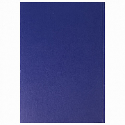 Журнал учета проверок юр.лиц и ИП, 96 л., бумвинил, блок офсет, фольга, А4 (200х290 мм), BRAUBERG, 130235