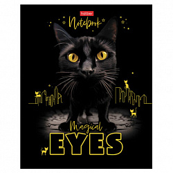 Тетрадь А5 48 л., HATBER скоба, клетка, матовая ламинация, 3D-лак, "Волшебные глаза" (микс), 088313, 48Т5лолВ1