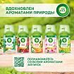 Сменный баллон 250 мл, AIRWICK LifeScents "Волшебный сад", для автоматических освежителей, универсальный