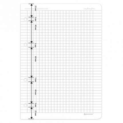 Сменный блок для тетради на кольцах А5 120 л., BRAUBERG, ПОВЫШЕННОЙ ПЛОТНОСТИ, белый, 403638