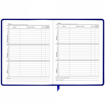 Дневник 1-11 класс 48 л., кожзам (твердая с поролоном), фольга, BRAUBERG HOLIDAY, "Good Idea", 106567