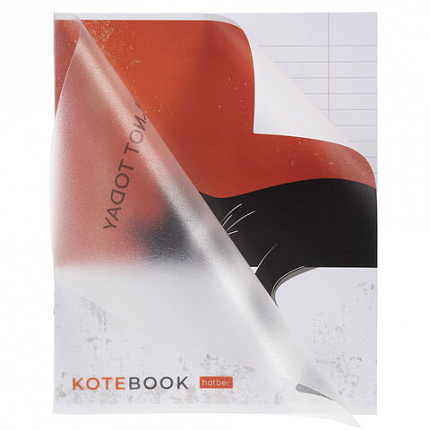 Тетрадь обложка пластик, А5 48л. скоба, линия, HATBER, Котэ (микс в спайке), 091627, 48Т5В2пл