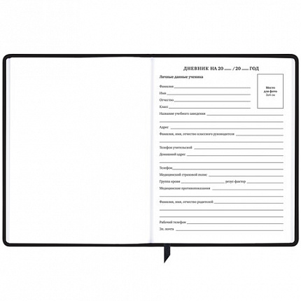 Дневник 1-11 класс 48 л., кожзам (твердая с поролоном), фольга, BRAUBERG HOLIDAY, "Free Spirit", 106568