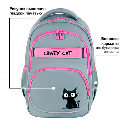 Рюкзак BRAUBERG MOTION, 2 отделения, 3 кармана, "Crazy cat", 41х28х17 см, 273115