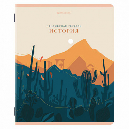 Тетради предметные, КОМПЛЕКТ 12 ПРЕДМЕТОВ, 48 л., SoftTouch, фольга, BRAUBERG, "ELEGANCE", 404611