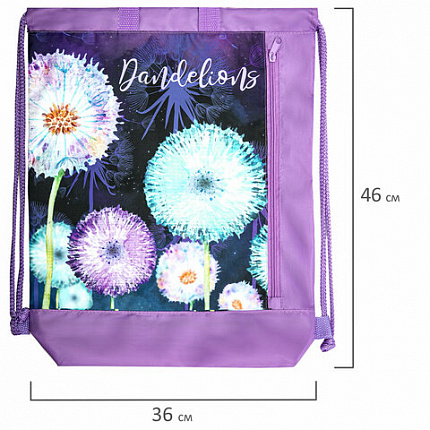 Мешок для обуви ЮНЛАНДИЯ с ручками, боковой карман на молнии, 46х36 см, "Flowers", 271065