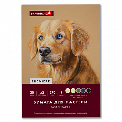Бумага для пастели ФАКТУРНАЯ, А3, в папке, 20 листов, 5 цветов, 270 г/м2, BRAUBERG ART, 117756