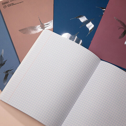 Тетрадь А5 48л. HATBER скоба, клетка, Soft-touch ламинация, 3D фольга, Парящие в небе, 48Т5лофВ1