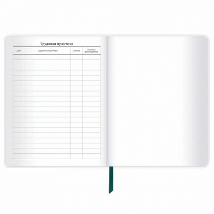 Дневник 1-11 класс 48 л., кожзам (гибкая), термотиснение, фольга, BRAUBERG, "Крутое Авто", 106912