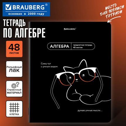 Тетрадь предметная МЕМЫ 48 л., TWIN-лак, АЛГЕБРА, клетка, подсказки, BRAUBERG, 405096