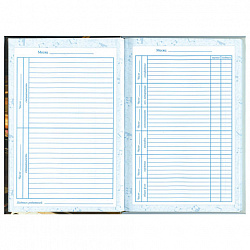 Дневник для музыкальной школы 140х210 мм, 48 л., твердый, BRAUBERG, выборочный лак, справочный материал, "Симфония", 103601