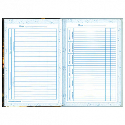 Дневник для музыкальной школы 140х210 мм, 48 л., твердый, BRAUBERG, справочный материал, "Концерт", 103279