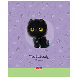 Тетрадь А5 48 л. HATBER скоба, клетка, обложка картон, "Кошарики" (микс в спайке), 075302, 48Т5В1