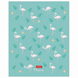 Тетрадь 18 л. HATBER скоба, клетка, обложка картон, тиснение, "Фламинго" (5 видов в спайке), 18Т5тВ1