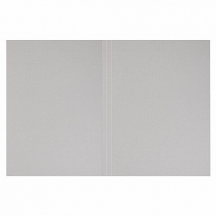 Папка без скоросшивателя "Дело", картон, плотность 220 г/м2, до 200 листов, STAFF, 128988, 128 988